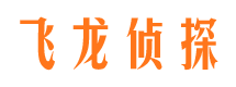 原阳飞龙私家侦探公司